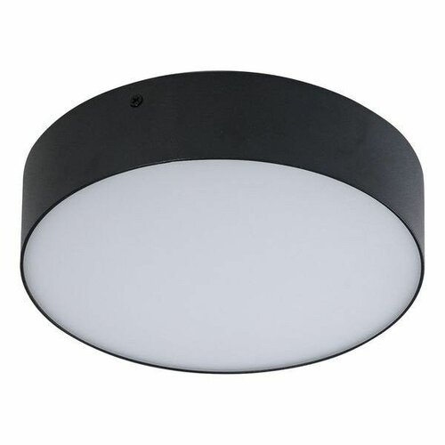 Azzardo AZ2263 stropní LED svítidlo