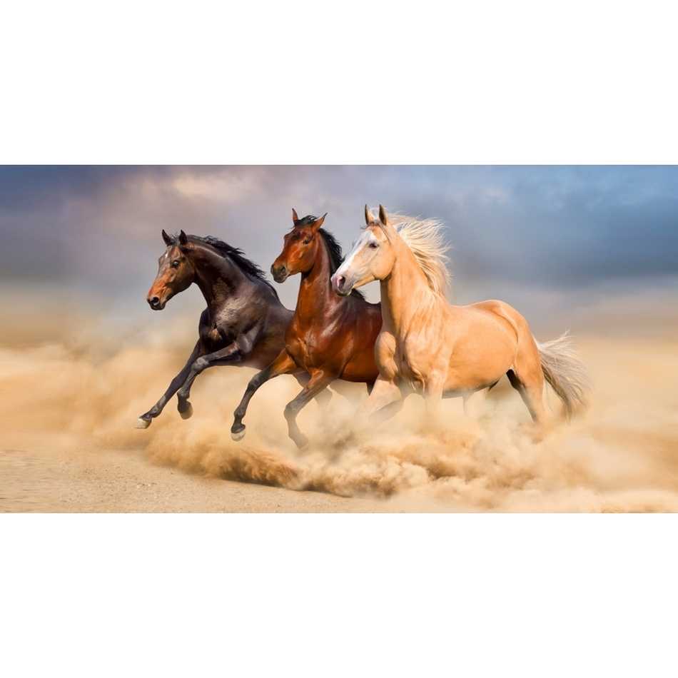 BedTex Osuška Divocí koně v poušti