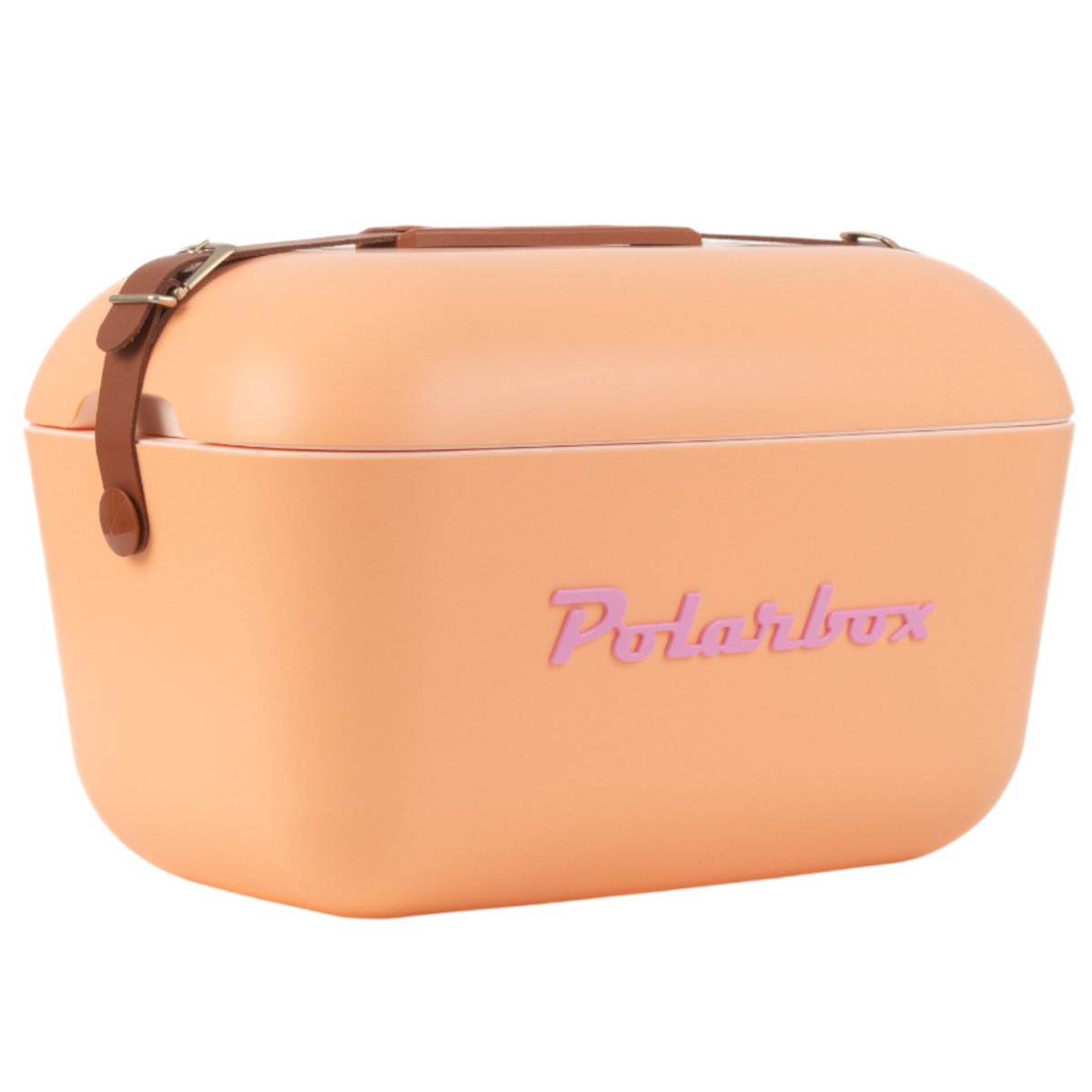 Polarbox Chladící box Classic 20 l