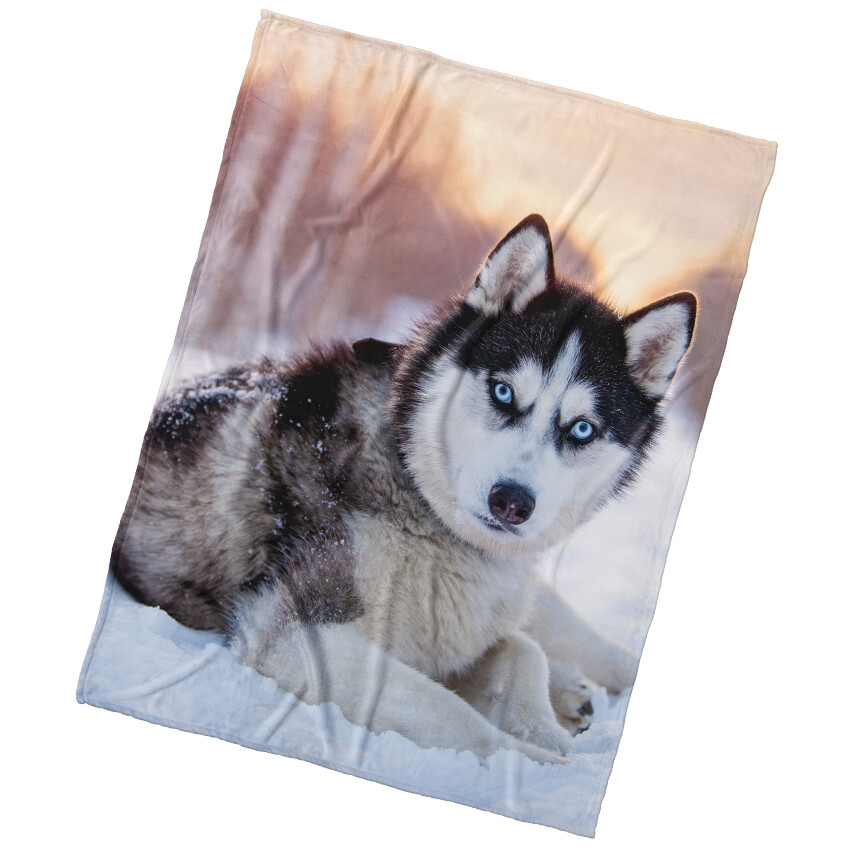 BedTex Deka mikroplyš Pes Sibiřský Husky