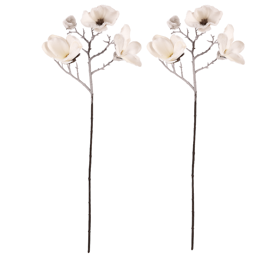 Sada květin Magnolie