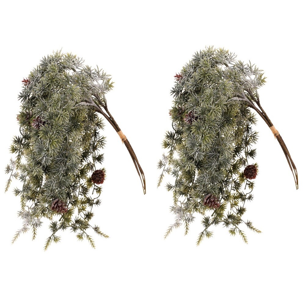 Sada převislých větví modřínu