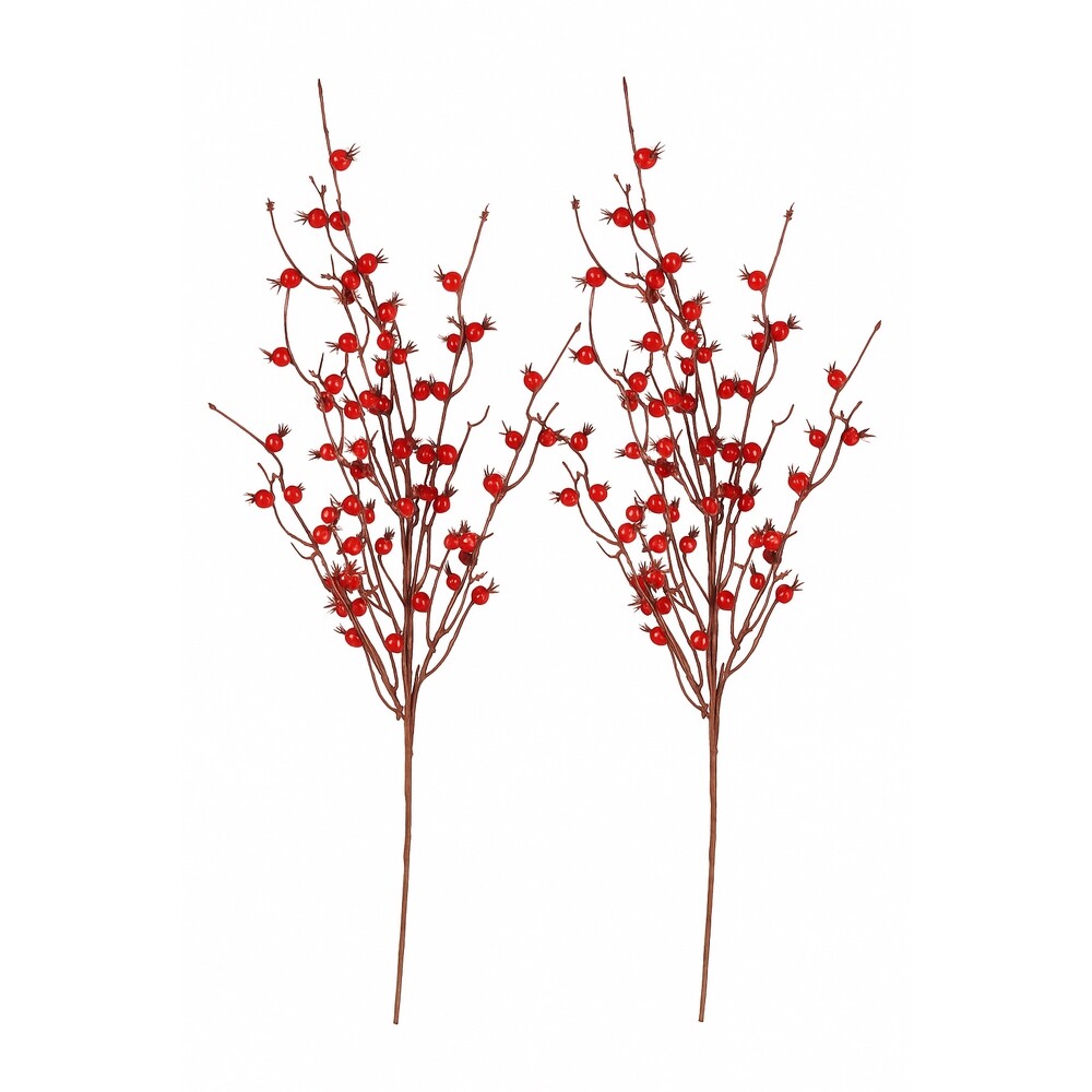 Sada umělých větviček Červené bubule