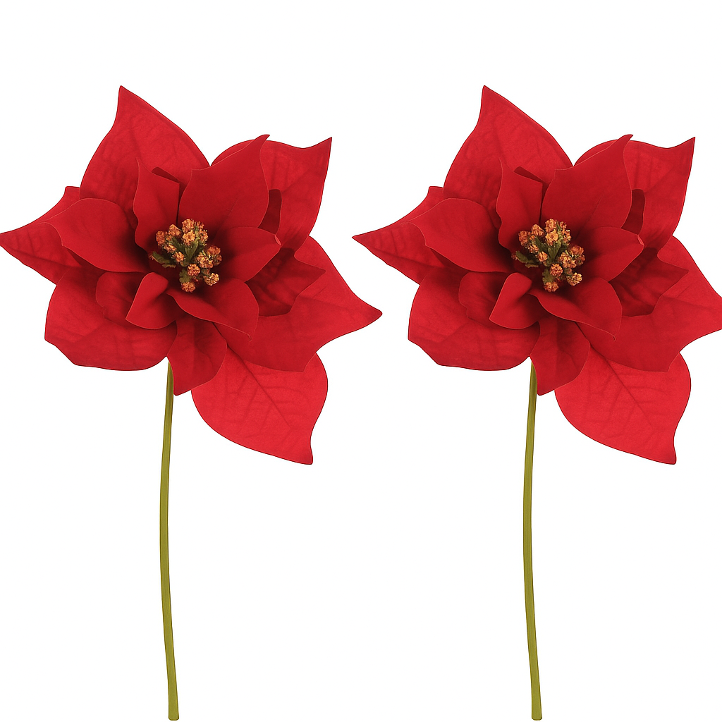 Sada vánoční růže květ na stonku