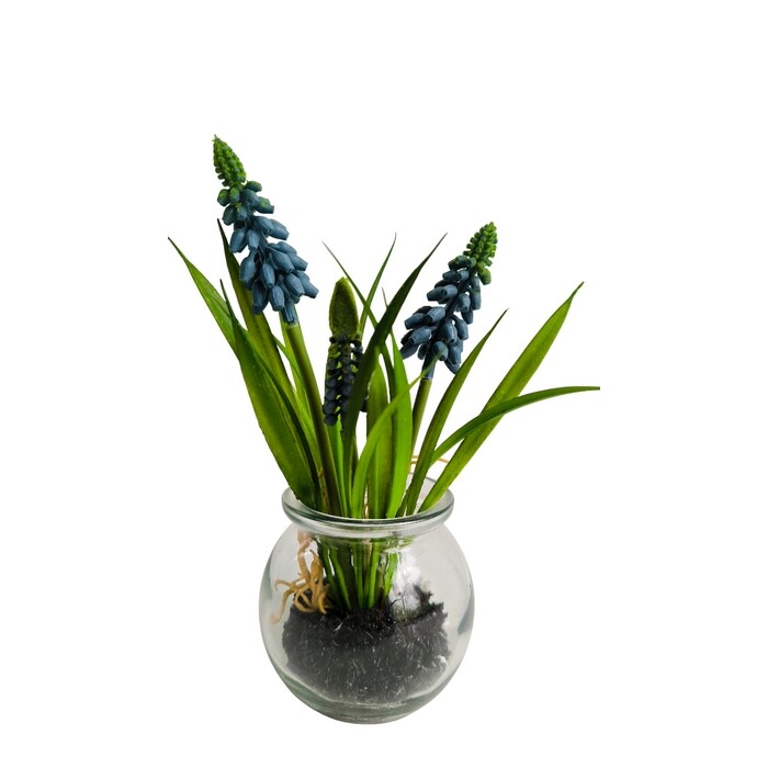 Umělý Modřenec ve skle