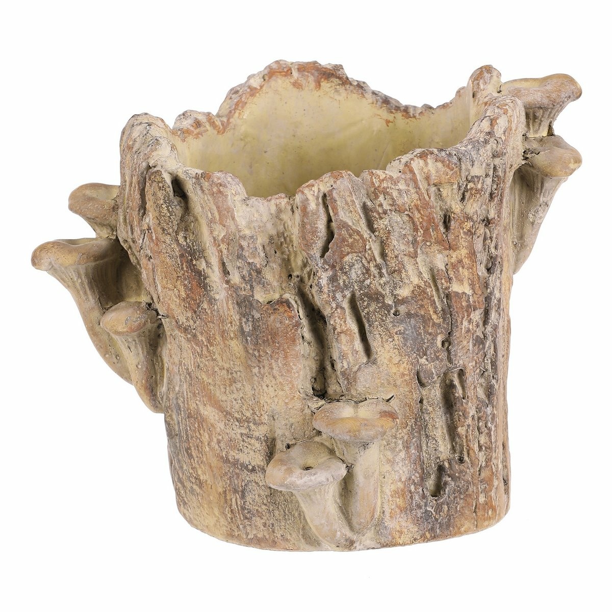 Obal betonový - pařez s houbami