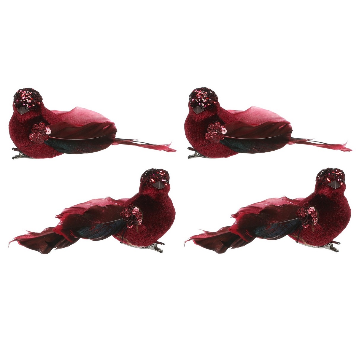 Sada ptáčků na klipu