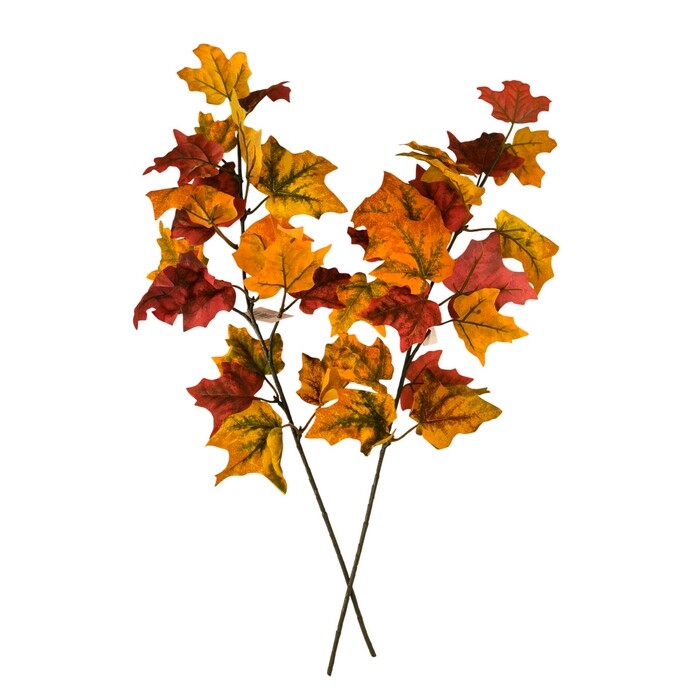 Sada větví Javor 58 cm