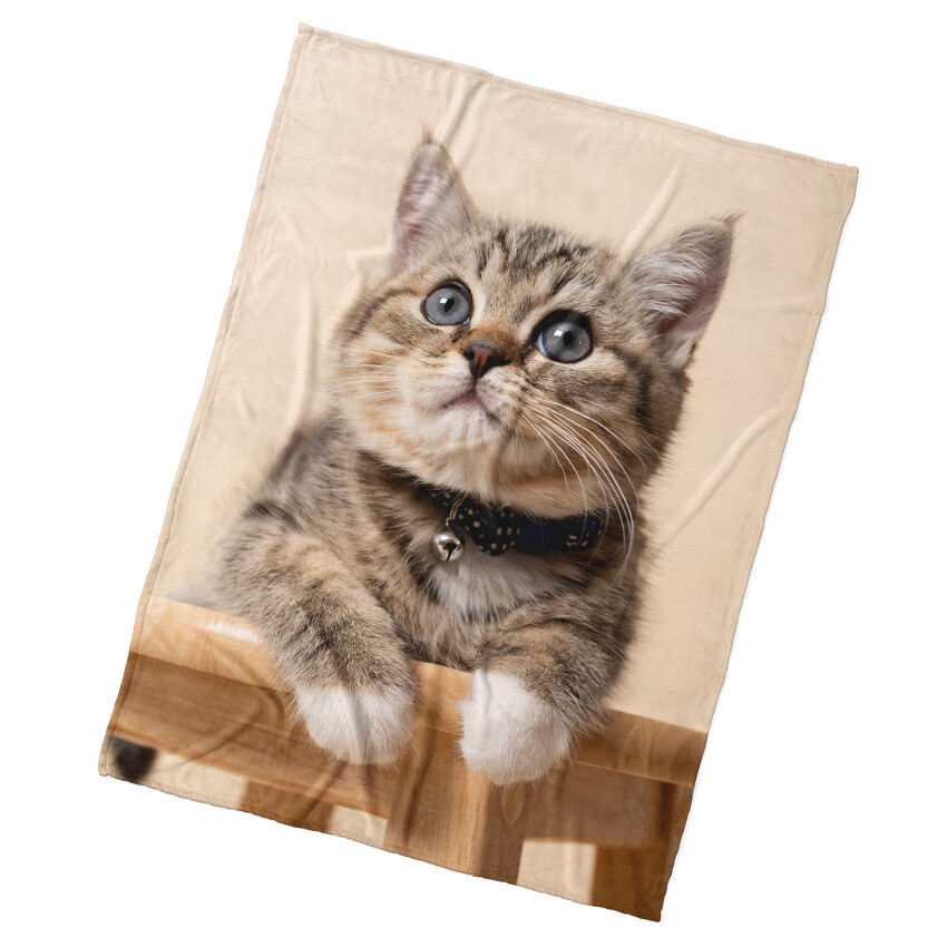 BedTex Dětská deka Koťátko Rolnička