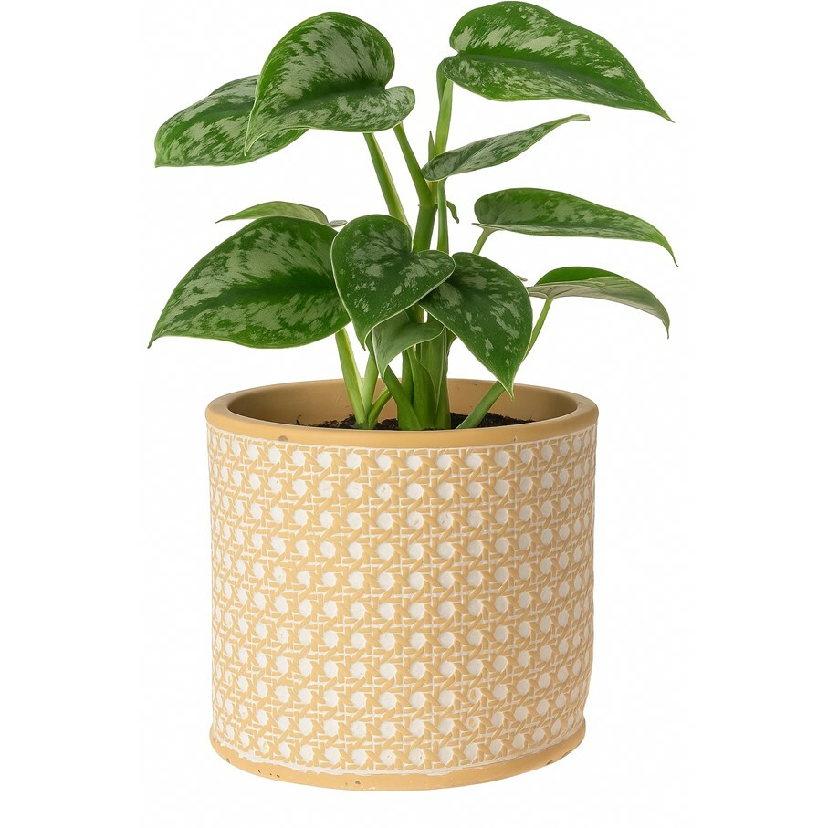 Obal na květináč Landon