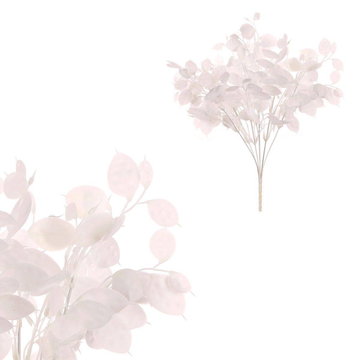 Sada Trs s penízkovými lístky