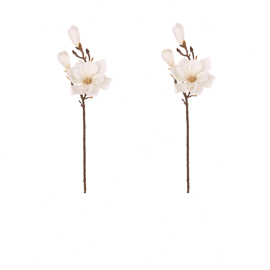 Sada květin Magnolie