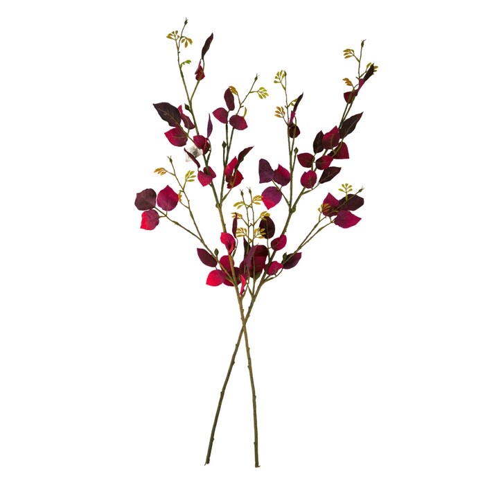 Sada podzimní větev Růže