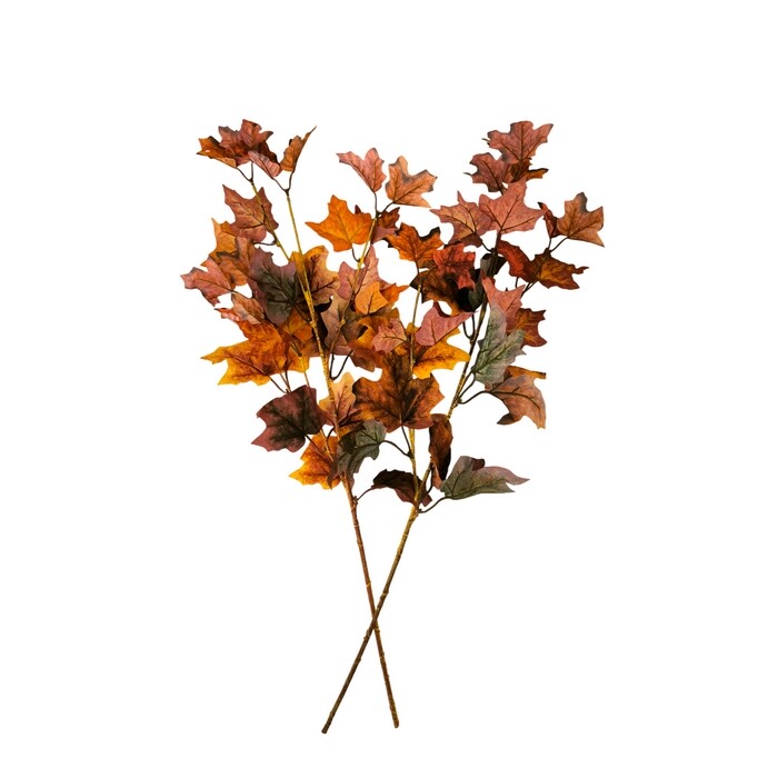 Sada větví Javor 72 cm