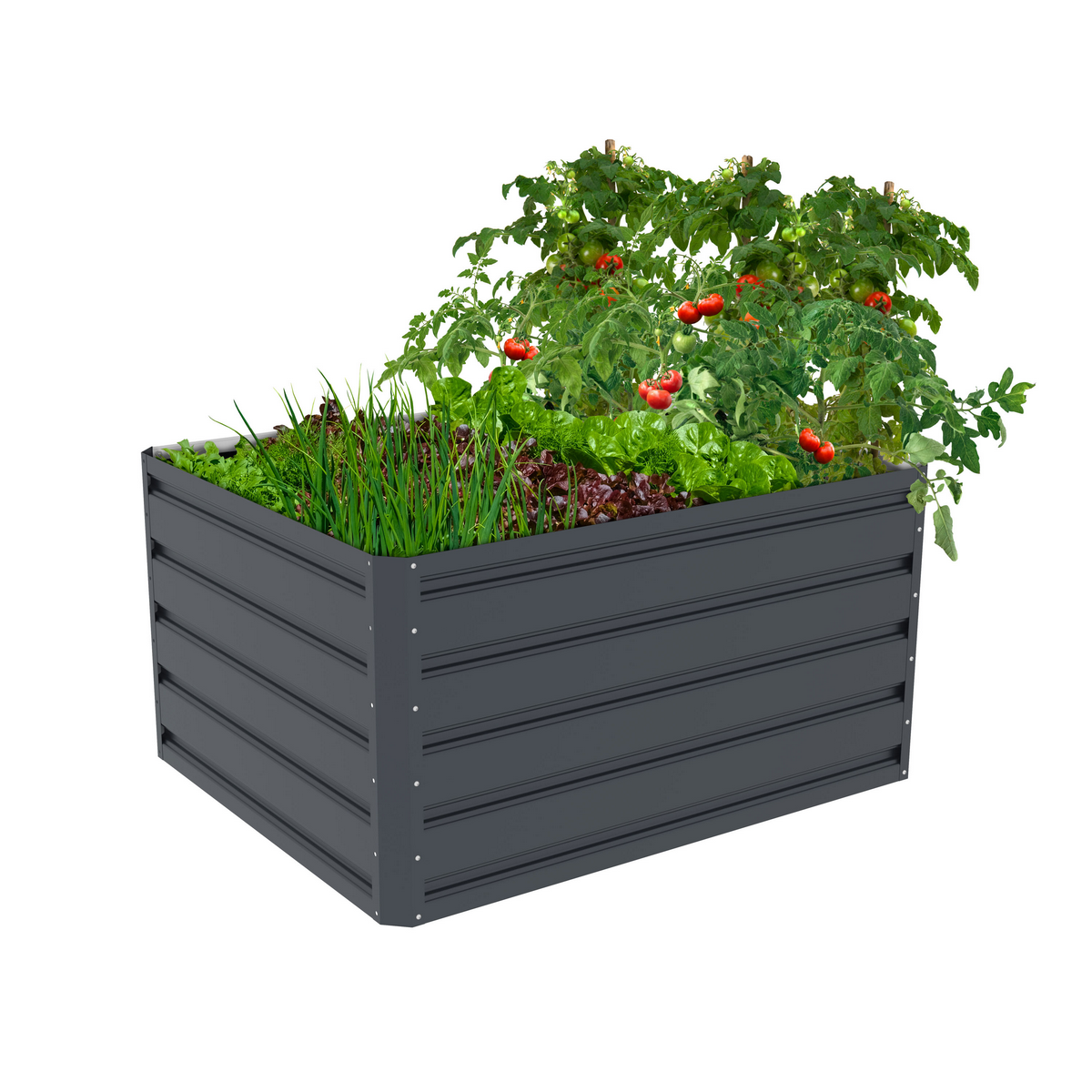Vyvýšený záhon G21 Daisy 100 x 80 x 52 cm